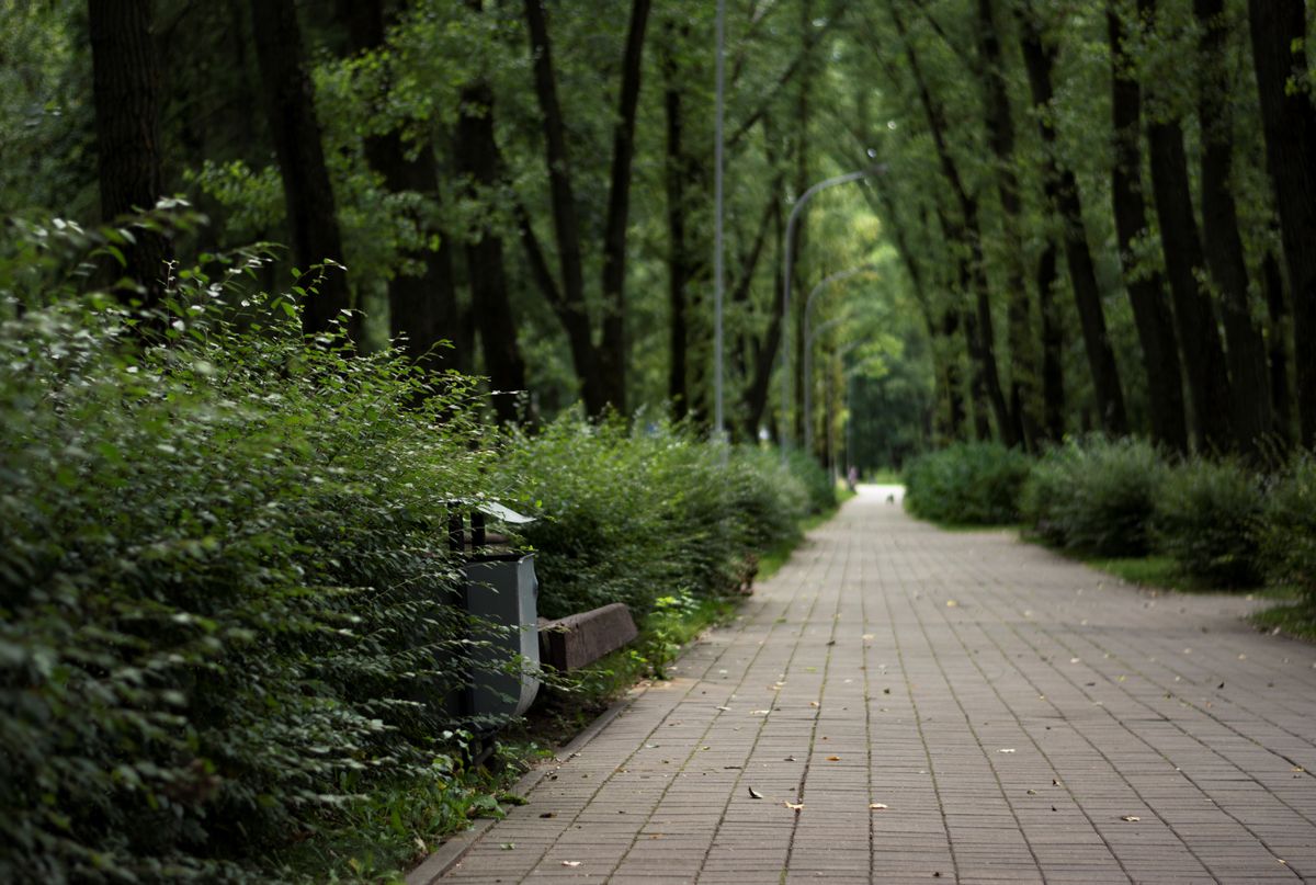 Zeleni gradski park u Zagrebu